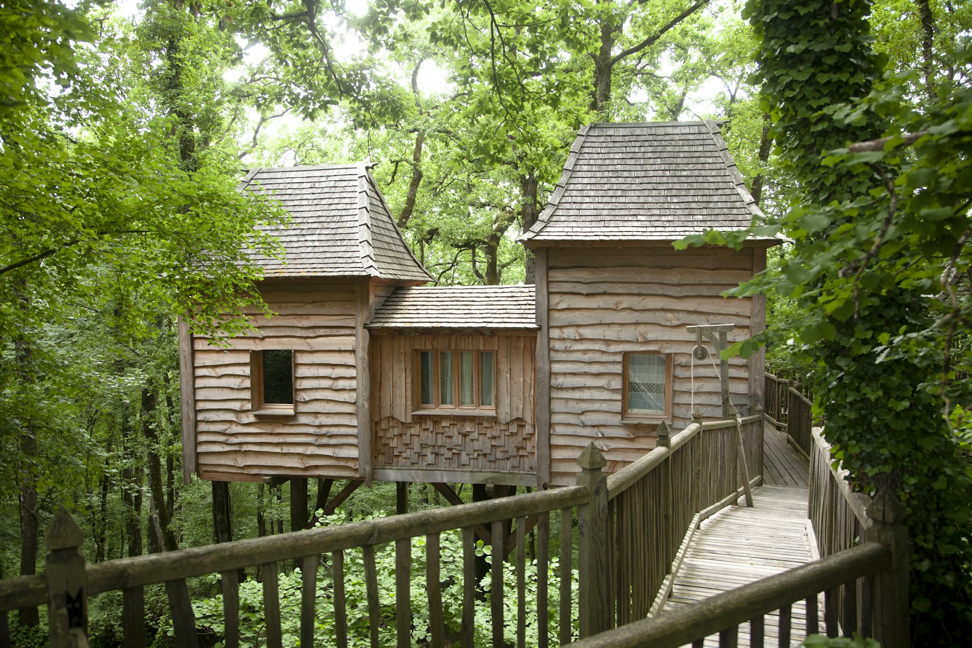 Wooden tree house with walkway in dense woodland 